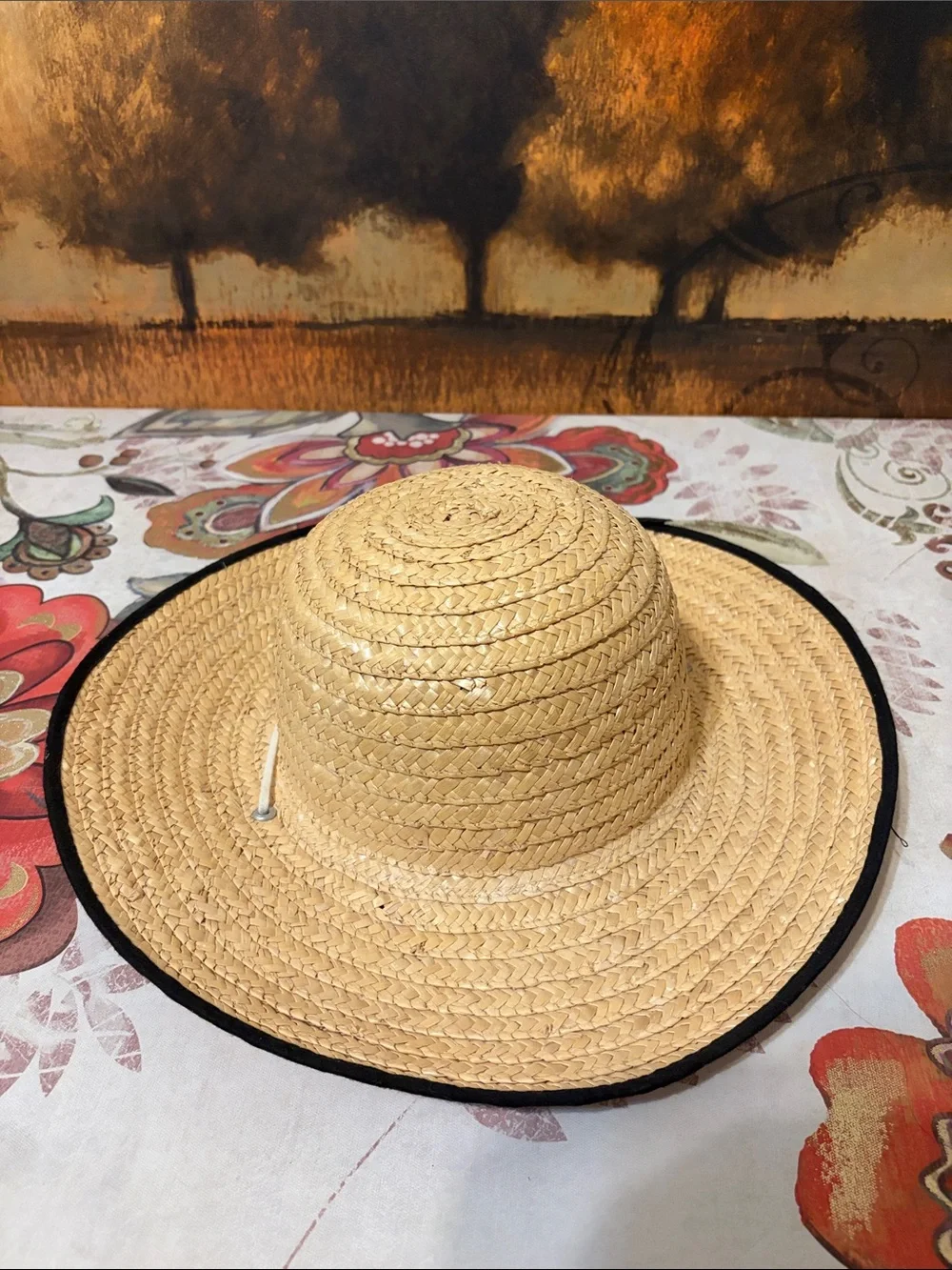 Natural Straw Wide-Brim Hat with Black Edge